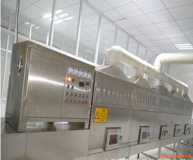 食品微波干燥殺菌技術及效果