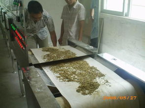 花生微波熟化滅菌設備 2017新型花生米膨化設備 專業廠家定做花生微波膨化熟化機 價格圖片,花生微波熟化滅菌設備 2017新型花生米膨化設備 專業廠家定做花生微波膨化熟化機